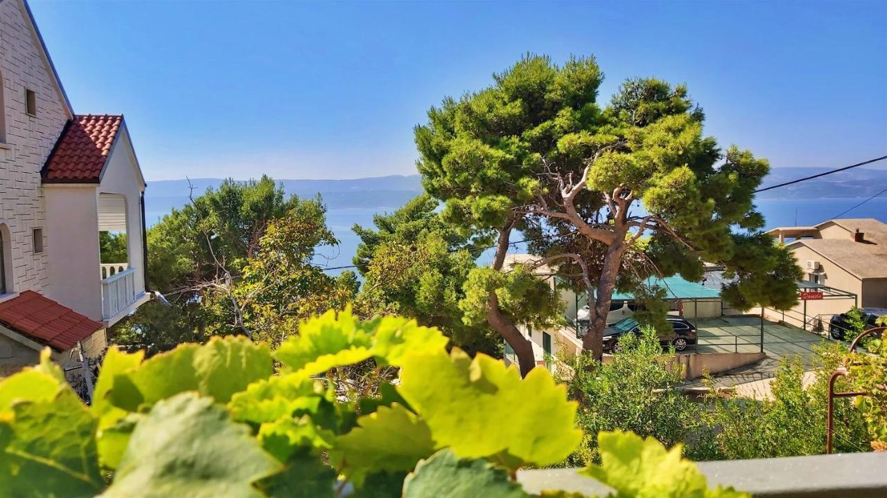 Apartment Gajo Omis