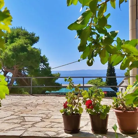 Apartments Gajo Omis Exterior photo