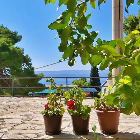 Apartments Gajo Omis Room photo